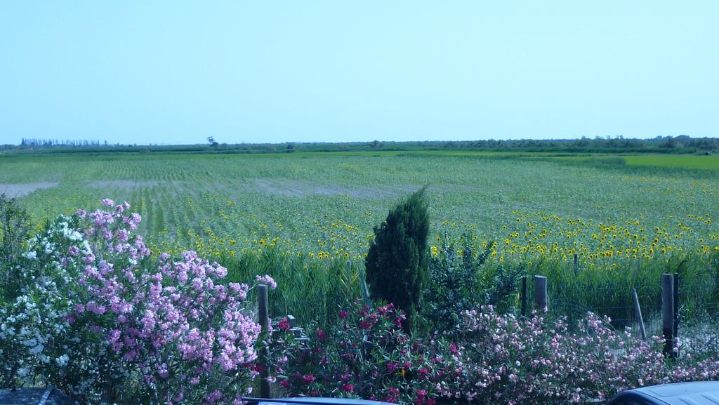 Soleil De Camargue Villa Arles Værelse billede